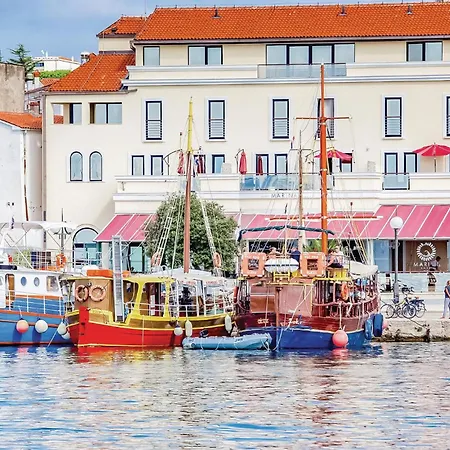 Pet Friendly In * Vrh (Krk)