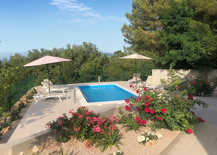 3 Bedroom Pet Friendly In